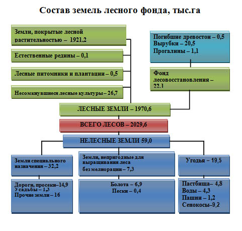 Понятие и состав земель лесного фонда презентация